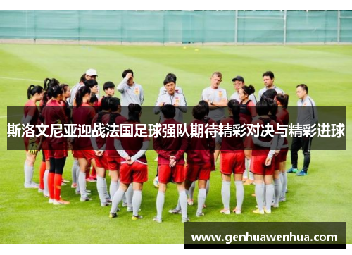 斯洛文尼亚迎战法国足球强队期待精彩对决与精彩进球